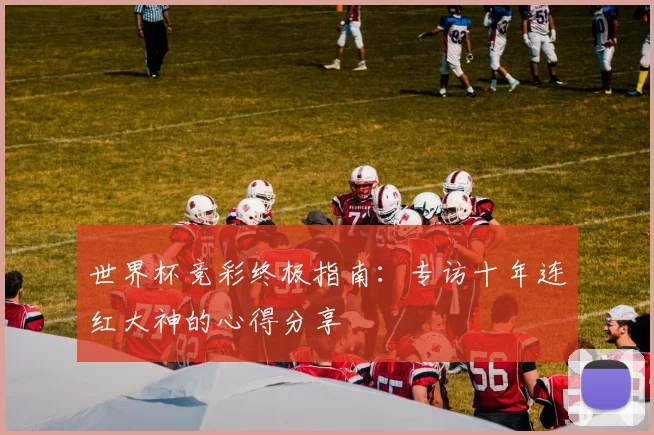 世界杯竞彩终极指南：专访十年连红大神的心得分享